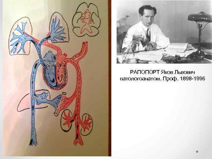 РАПОПОРТ Яков Львович патологоанатом. Проф. 1898 -1996 