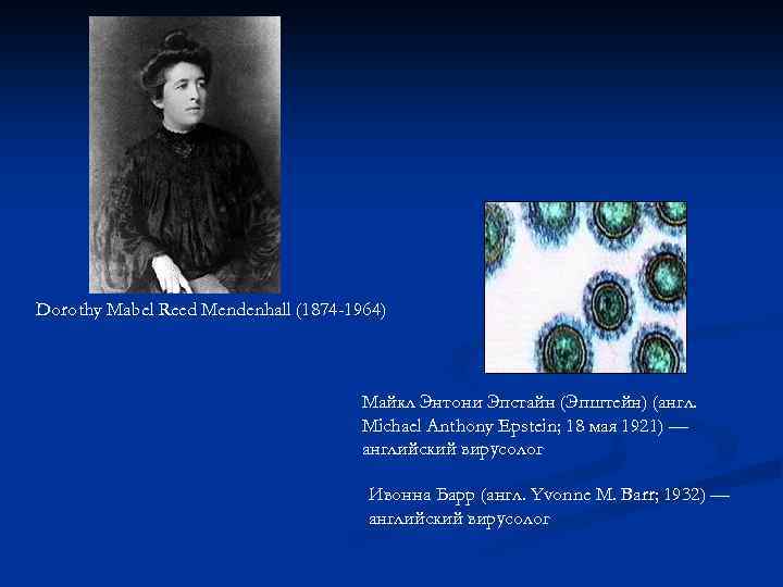 Dorothy Mabel Reed Mendenhall (1874 -1964) Майкл Энтони Эпстайн (Эпштейн) (англ. Michael Anthony Epstein;