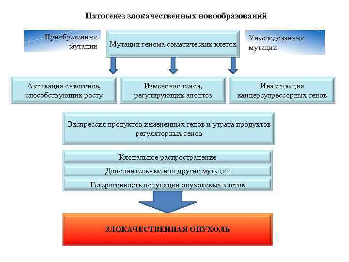 Патогенез злокачественных новообразований Приобретенные мутации Активация онкогенов, способствующих росту Унаследованные мутации Мутации генома соматических