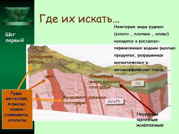    Где их искать…    Некоторые виды рудных Шаг 