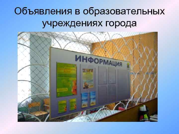 Объявления в образовательных учреждениях города 