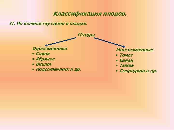    Классификация плодов. II. По количеству семян в плодах.   