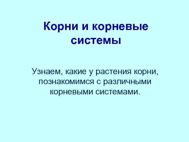  Корни и корневые  системы Узнаем, какие у растения корни,  познакомимся с