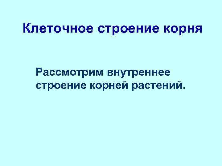 Клеточное строение корня  Рассмотрим внутреннее строение корней растений. 