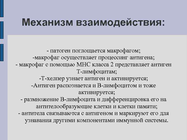  Механизм взаимодействия:    - патоген поглощается макрофагом;   -макрофаг осуществляет