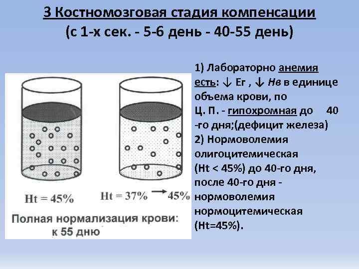 3 Костномозговая стадия компенсации  (с 1 -х сек. - 5 -6 день -