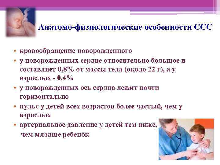   Анатомо-физиологические особенности ССС  • кровообращение новорожденного • у новорожденных сердце относительно