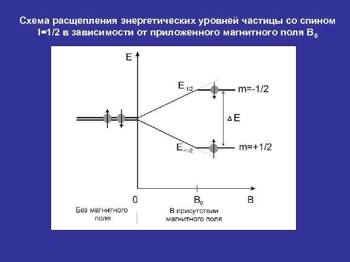 Схема расщепления энергетических уровней частицы со спином  I=1/2 в зависимости от приложенного магнитного