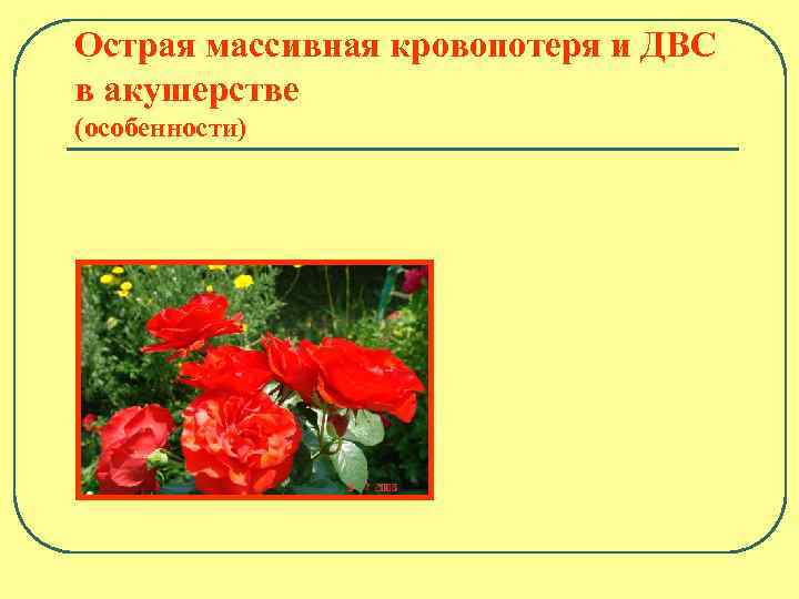 Острая массивная кровопотеря и ДВС в акушерстве (особенности) 