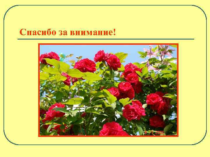 Спасибо за внимание! 