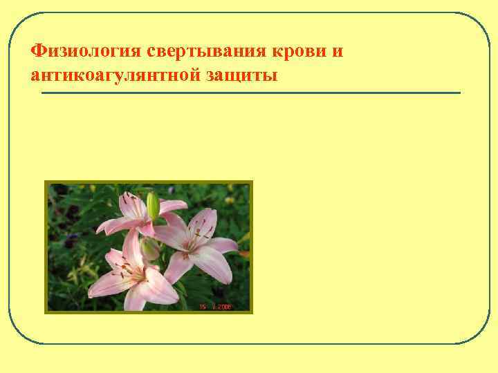 Физиология свертывания крови и антикоагулянтной защиты 