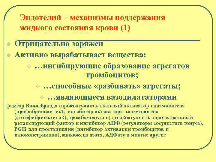 Эндотелий – механизмы поддержания жидкого состояния крови (1) l l Отрицательно заряжен Активно вырабатывает