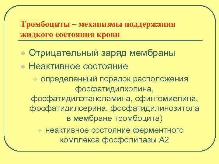 Тромбоциты – механизмы поддержания жидкого состояния крови l l Отрицательный заряд мембраны Неактивное состояние