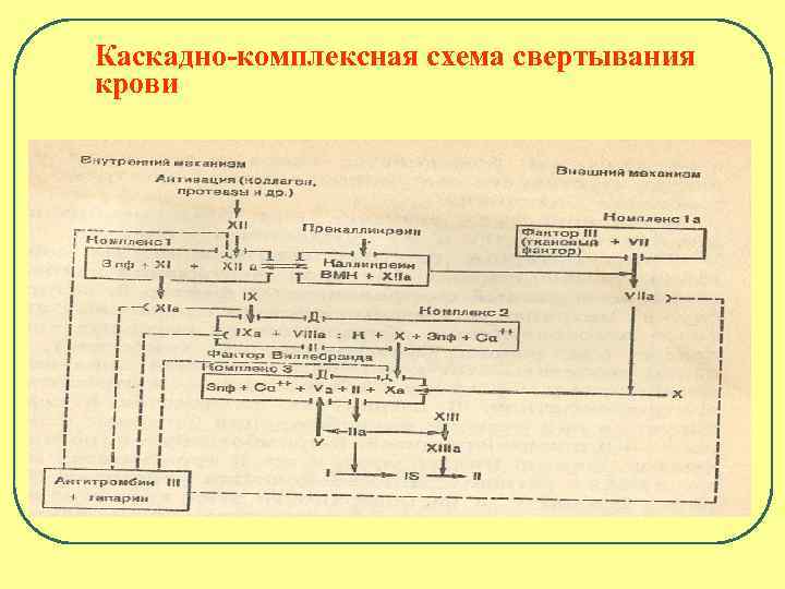 Факторы свертывания схема