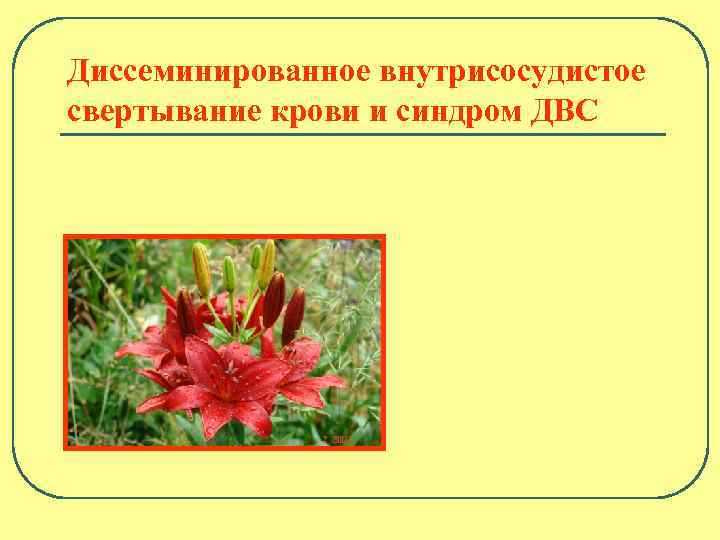 Диссеминированное внутрисосудистое свертывание крови и синдром ДВС 