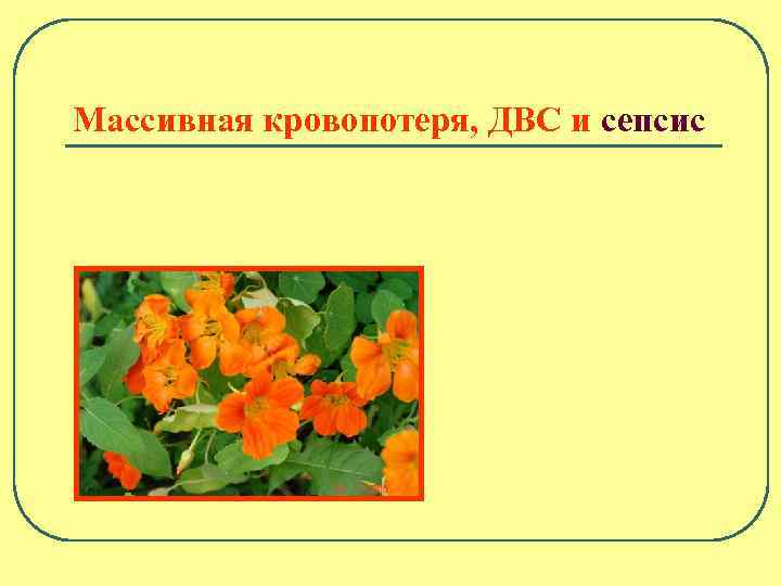 Массивная кровопотеря, ДВС и сепсис 