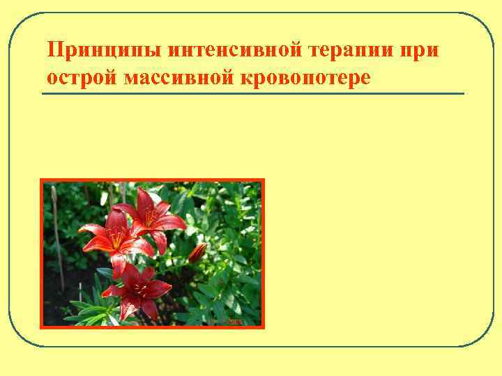 Принципы интенсивной терапии при острой массивной кровопотере 