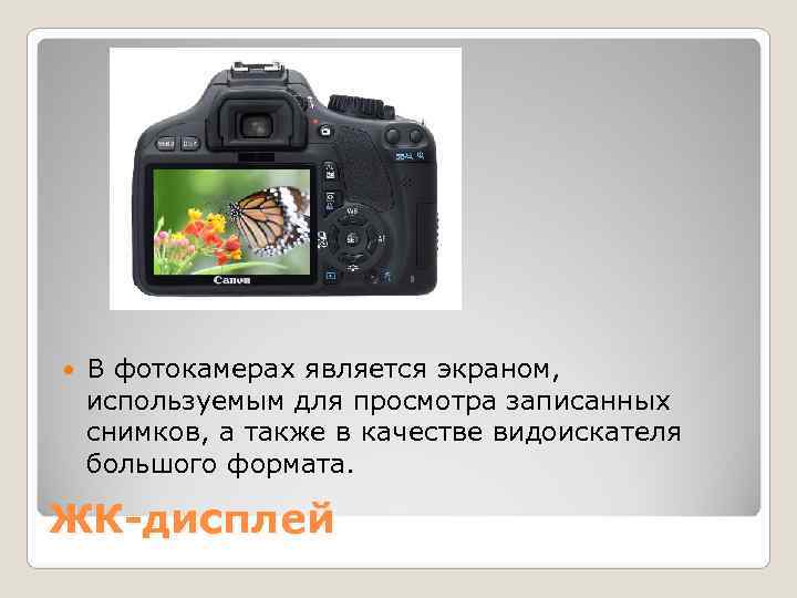   В фотокамерах является экраном,  используемым для просмотра записанных снимков, а также