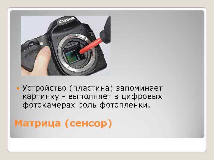   Устройство (пластина) запоминает картинку - выполняет в цифровых фотокамерах роль фотопленки. 