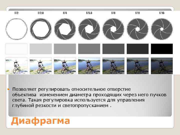   Позволяет регулировать относительное отверстие объектива изменением диаметра проходящих через него пучков света.