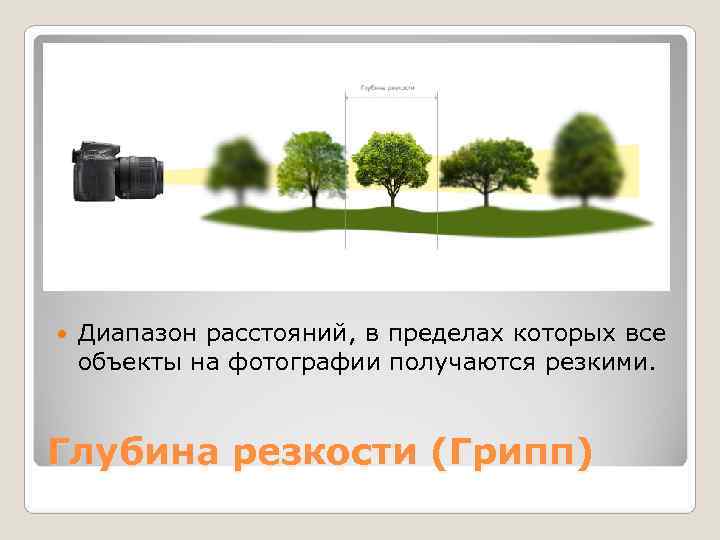   Диапазон расстояний, в пределах которых все объекты на фотографии получаются резкими. 