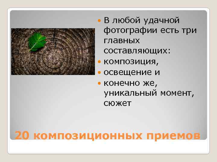 В любой удачной фотографии есть три главных составляющих: композиция, освещение и конечно же, уникальный