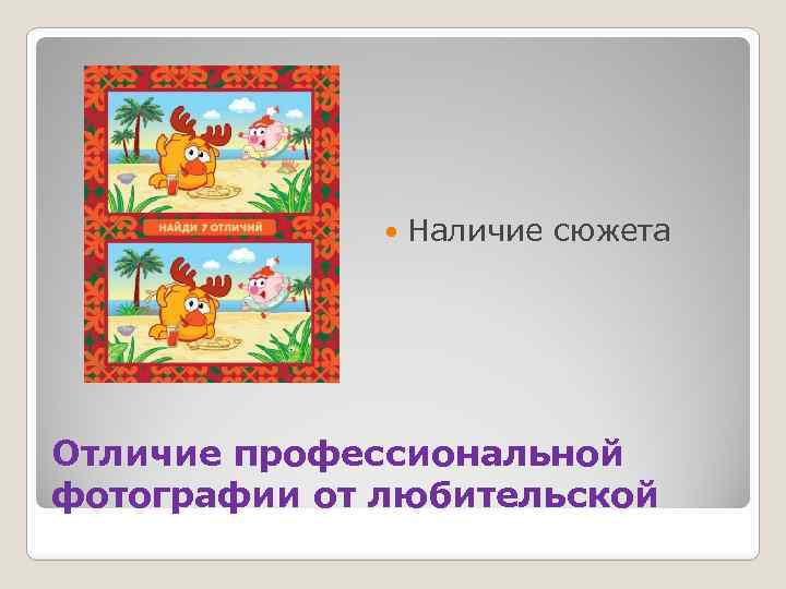  Наличие сюжета Отличие профессиональной фотографии от любительской 