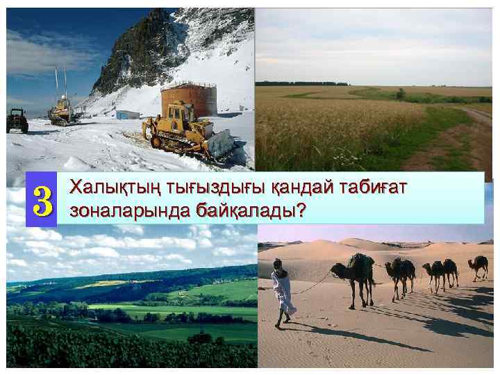 3 Халықтың тығыздығы қандай табиғат зоналарында байқалады? 