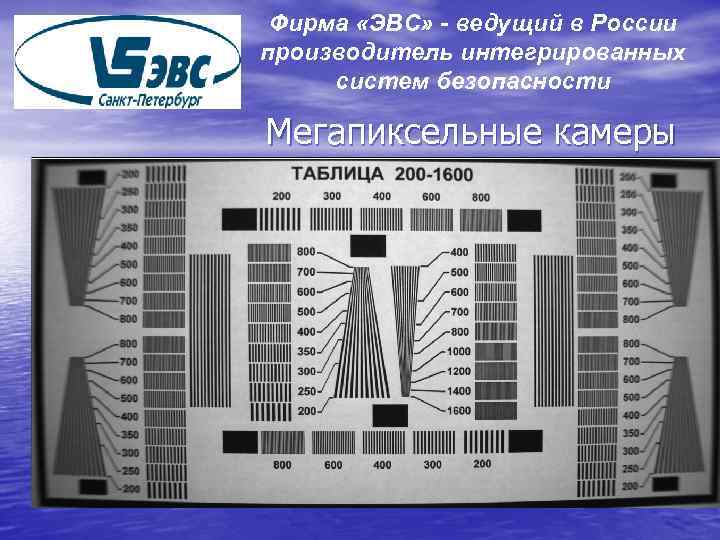 Фирма «ЭВС» - ведущий в России производитель интегрированных систем безопасности Мегапиксельные камеры 