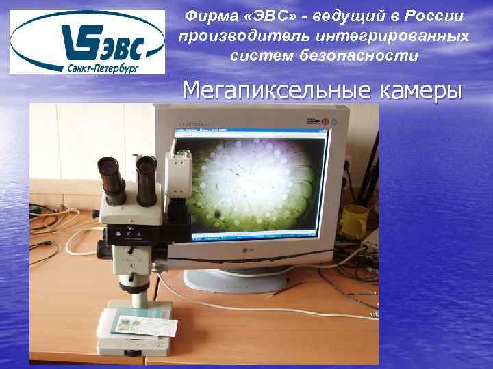 Фирма «ЭВС» - ведущий в России производитель интегрированных систем безопасности Мегапиксельные камеры 