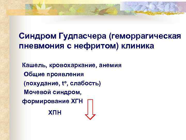Синдром Гудпасчера (геморрагическая пневмония с нефритом) клиника Кашель, кровохаркание, анемия Общие проявления (похудание, tо,