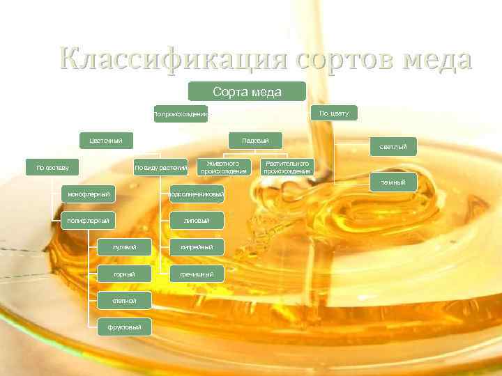 Классификация меда схема