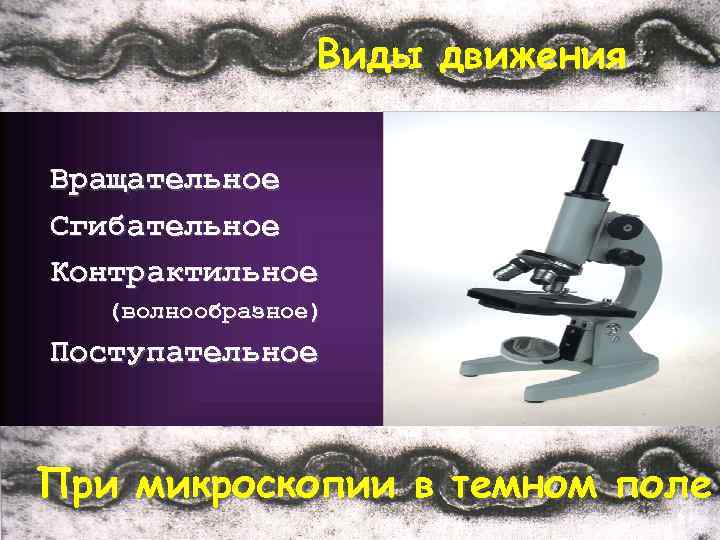 Виды движения Вращательное Сгибательное Контрактильное (волнообразное) Поступательное При микроскопии в темном поле 