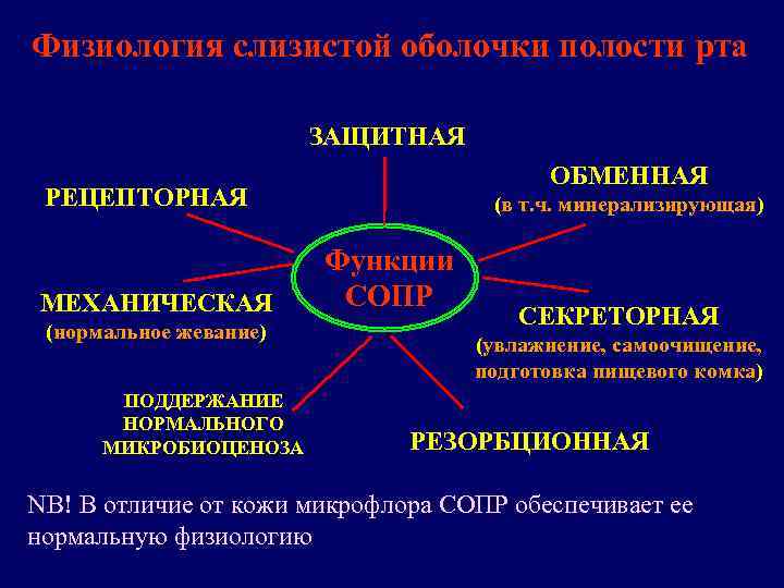 Физиология слизистой оболочки полости рта     ЗАЩИТНАЯ    ОБМЕННАЯ