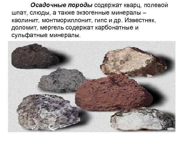 Осадочные породы содержат кварц, полевой шпат, слюды, а также экзогенные минералы – каолинит, монтмориллонит,