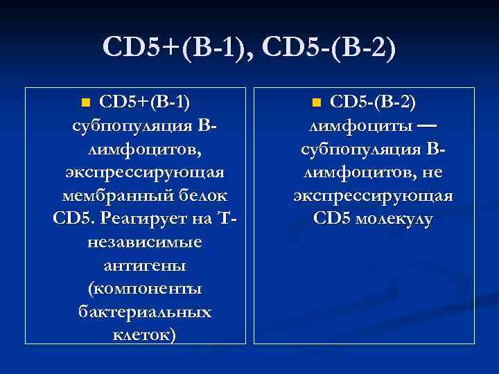 CD 5+(В-1), CD 5 -(В-2) CD 5+(В-1) субпопуляция Влимфоцитов, экспрессирующая мембранный белок CD 5.