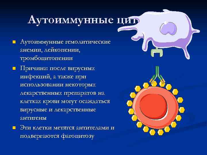  Аутоиммунные цитопении n  Аутоиммунные гемолитические анемии, лейкопении, тромбоцитопении n  Причина: после