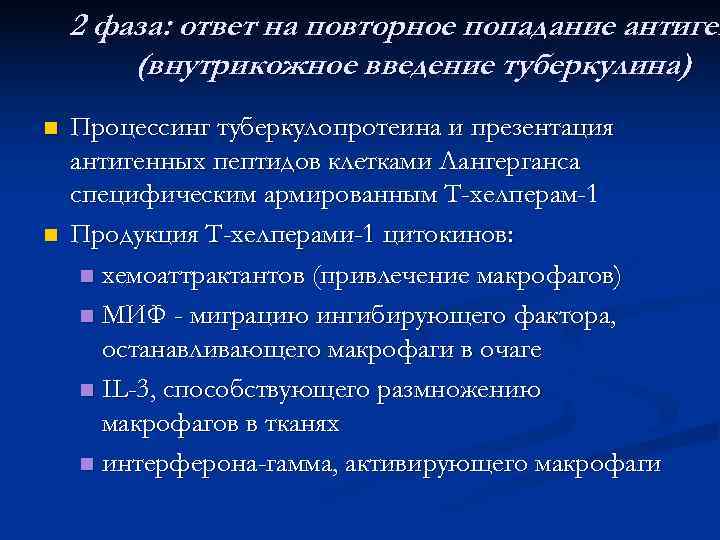   2 фаза: ответ на повторное попадание антиген   (внутрикожное введение туберкулина)