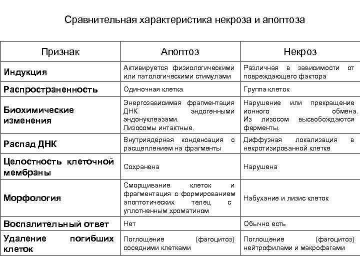 Сравнительная характеристика некроза и апоптоза Признак Сравнительная характеристика некроза и апоптоза Признак