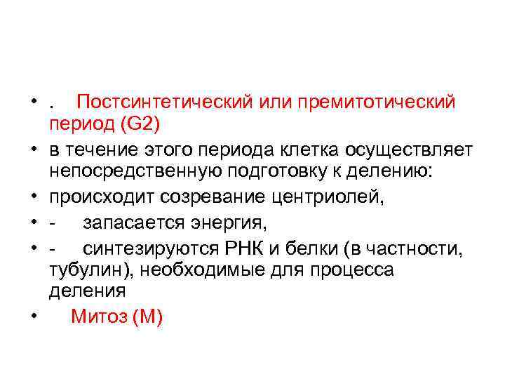 • . Постсинтетический или премитотический период (G 2) • в течение этого • . Постсинтетический или премитотический период (G 2) • в течение этого
