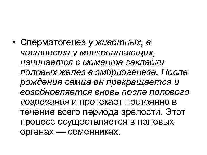  • Сперматогенез у животных, в  частности у млекопитающих,  начинается с момента