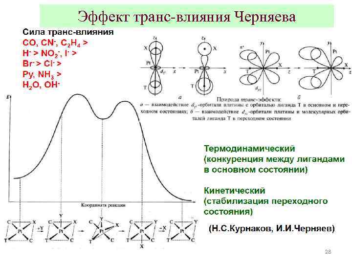 Эффект транс-влияния Черняева 28 