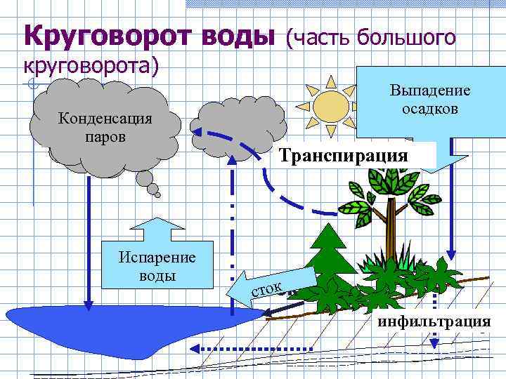 Круговорот веществ в лесу 3 класс схема окружающий мир 3 класс