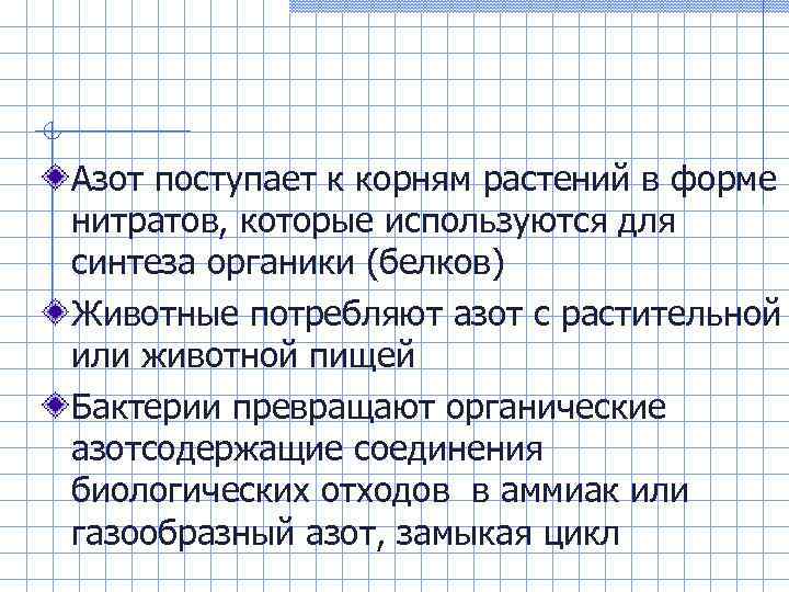 Азот поступает к корням растений в форме нитратов, которые используются для синтеза органики (белков)