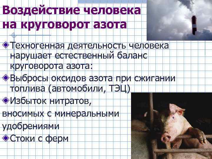Воздействие человека на круговорот азота  Техногенная деятельность человека  нарушает естественный баланс 