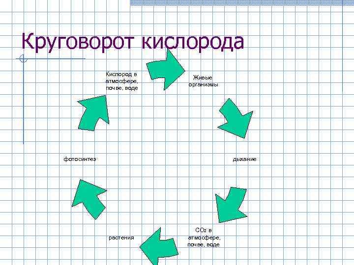 Круговорот кислорода в природе схема рисунок