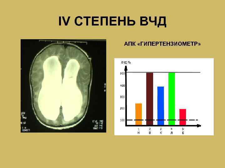 IV СТЕПЕНЬ ВЧД АПК «ГИПЕРТЕНЗИОМЕТР» 