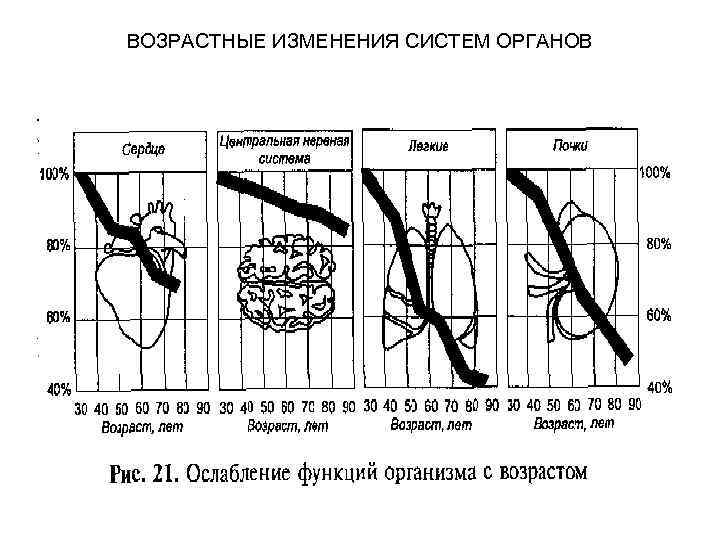 ВОЗРАСТНЫЕ ИЗМЕНЕНИЯ СИСТЕМ ОРГАНОВ 
