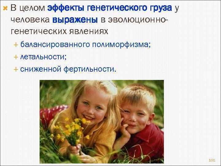  В целом эффекты генетического груза у человека выражены в эволюционногенетических явлениях балансированного полиморфизма;