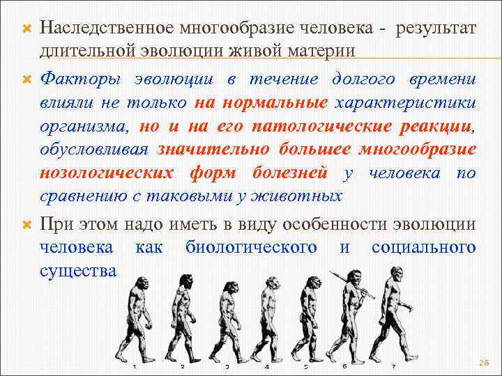  Наследственное многообразие человека - результат длительной эволюции живой материи Факторы эволюции в течение